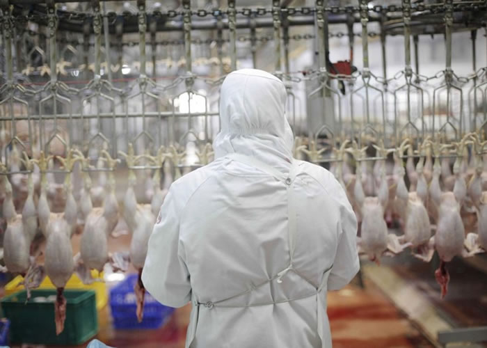 �о�ָ���ؽ�ѧ�߲�֪����ɼ�����������ʱ��ʹ�ࡣ