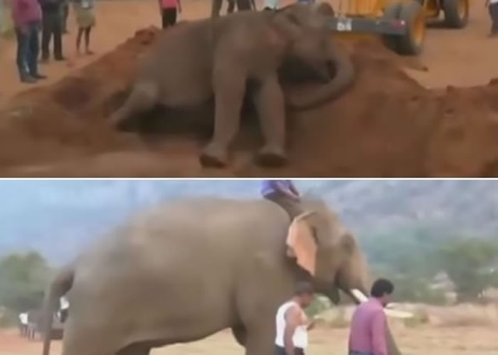 �������ε����ϡ�