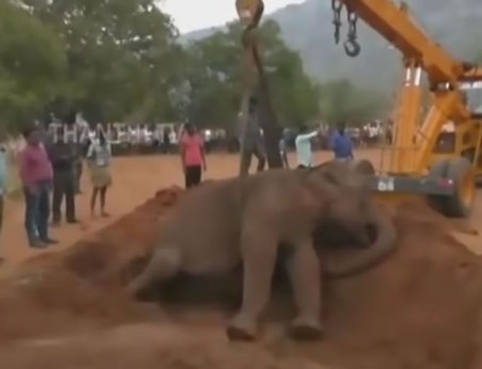 ɭ�ֹ���Ա�������Э������վ������