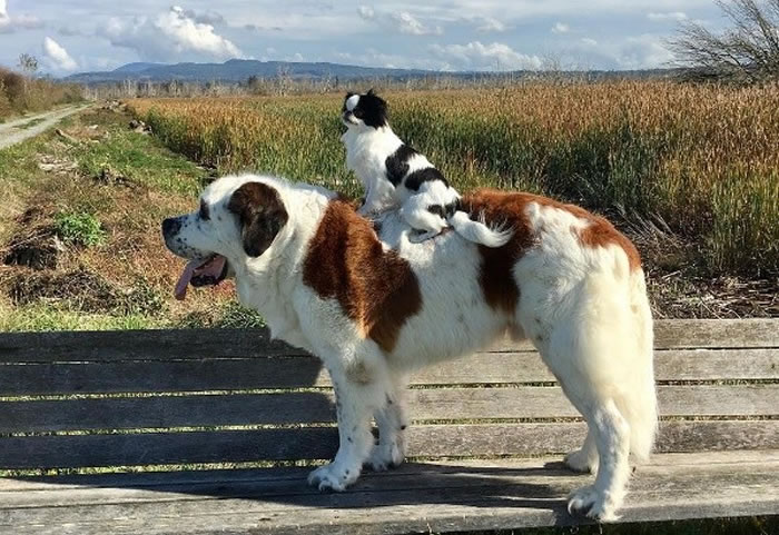 ������һ�Ը������Ĺ����� ����ϲ�����ڸ�米�ϳ���