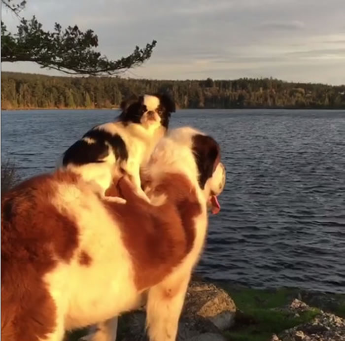 ������һ�Ը������Ĺ����� ����ϲ�����ڸ�米�ϳ���