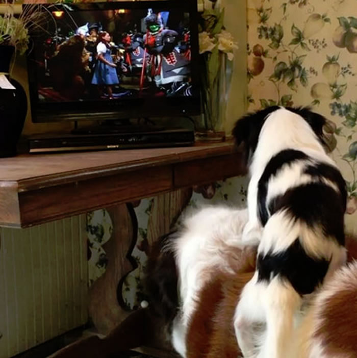 ������һ�Ը������Ĺ����� ����ϲ�����ڸ�米�ϳ���