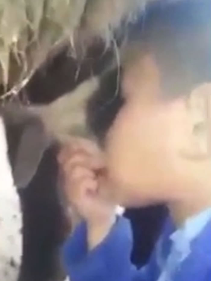 ����կС�к�ֱ�Ӵ�ţ����ͷ����ţ��