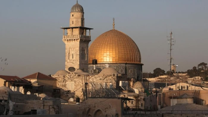 ���Ҷ�Բ���£�ͼ���������ֵ���ʷ������֤�����������Ĵ��ڡ�