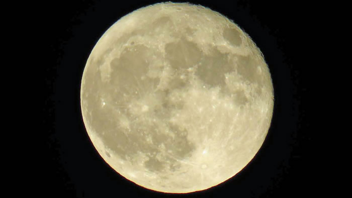 2016��11��14�ճ�������