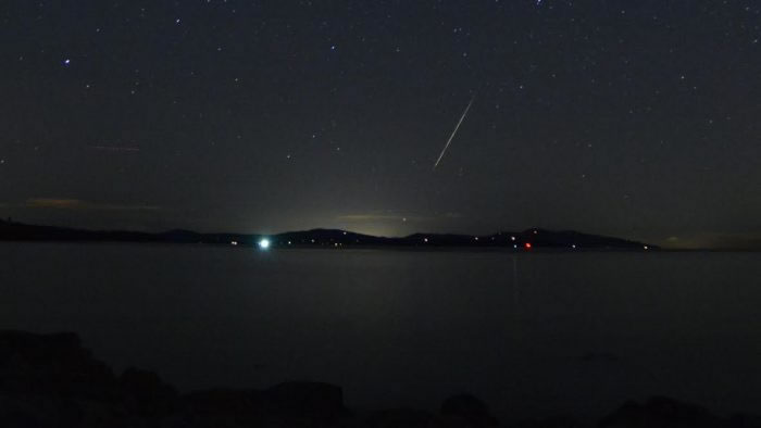 2016��11��17��ʨ���������꼫��