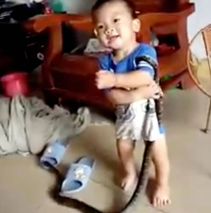 广东2岁男童抓起大蛇当玩具 - 神秘的地球 科学