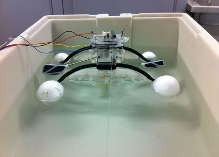 �������ܹ��衰��ʳ��ˮ��΢�������������