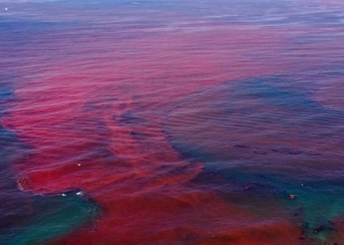 �Ŷ����������˿ɽ���쳱���廪����