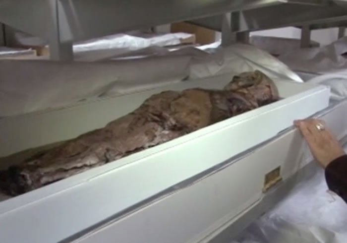 专家表示木乃伊要保存在特定的温度和湿度防止变质。