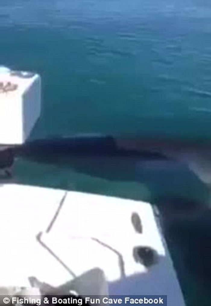 ������������ʹ�����ν�����СͧתȦ