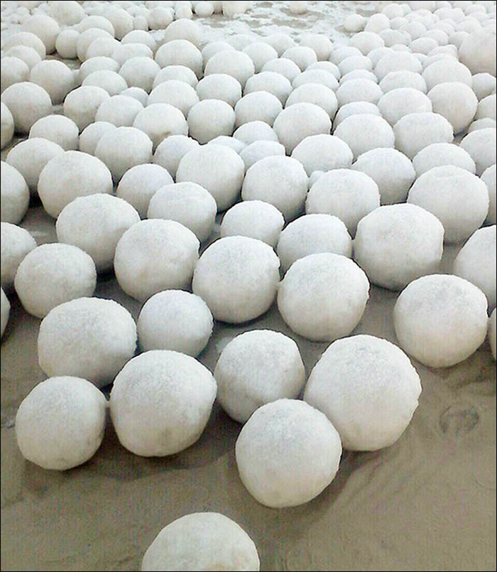 俄罗斯西伯利亚地区突然出现一大批神秘圆形雪球