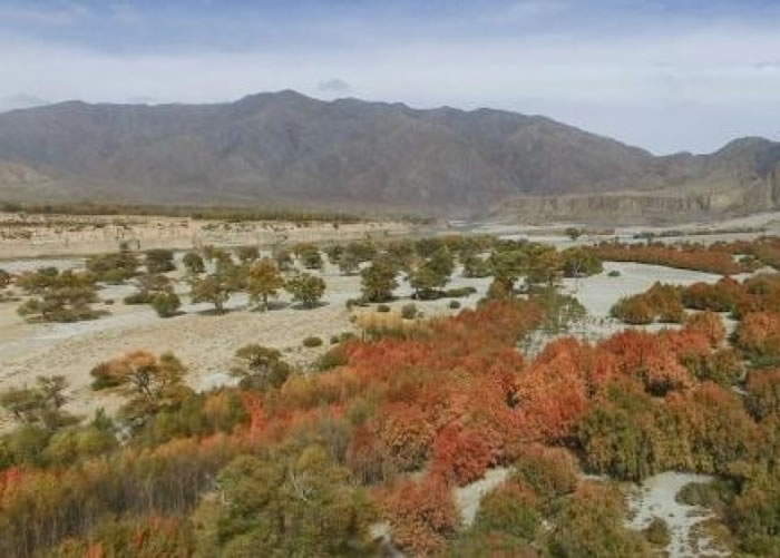 �ຣʡͬ���صĹ������֣�����ˮ��վ�˽��Ĵ�Ӷ�����û��