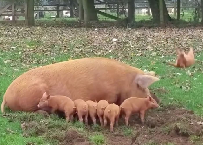 С���ӿ��е������ϡ�