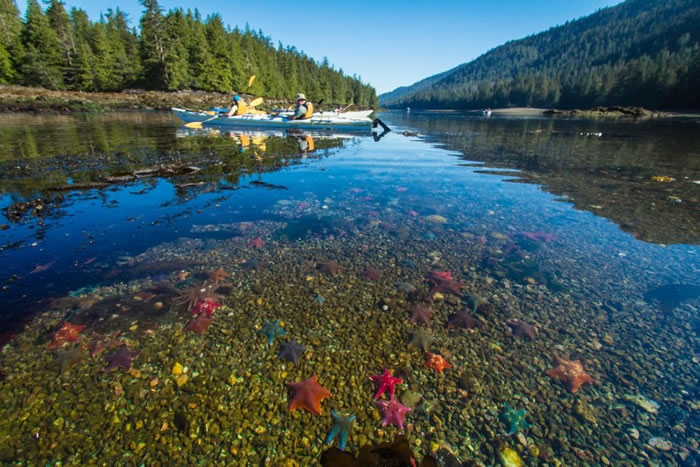 ͼΪ���к˵��ĺ�����ڰ���Ⱥ����