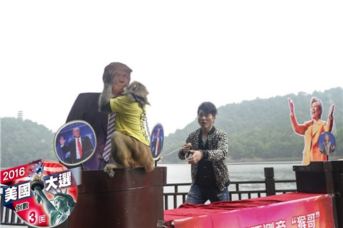 猴王向特朗普的人形纸牌献吻。