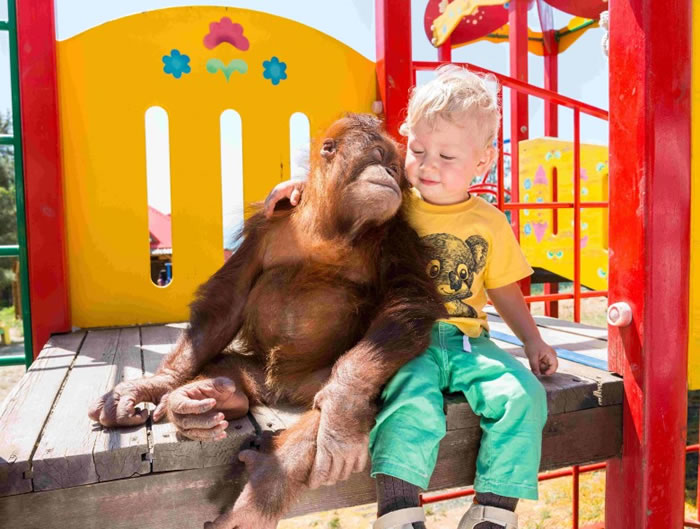 该野生动物园深受小朋友欢迎。