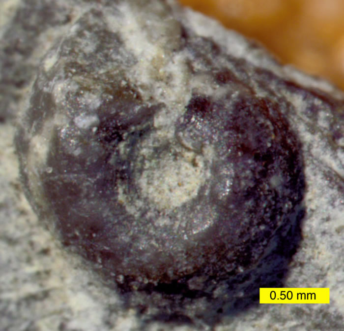 2.52ǰ¼γȵ̬ϵͳλָ