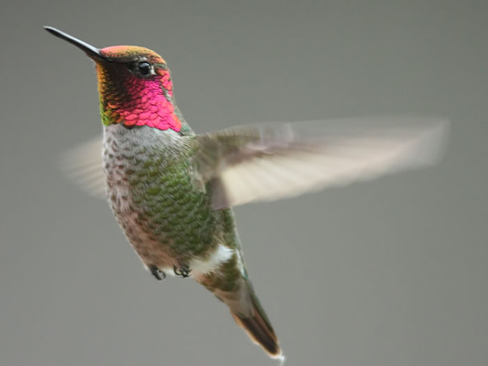 �����еı�ʯ�����ް��ȷ���