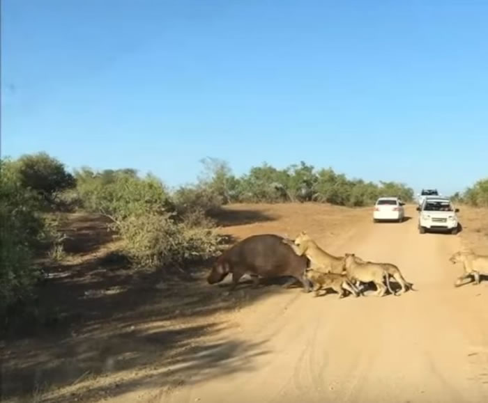 Ϸǿ³ҹ԰ʨҧ ʧҧ·