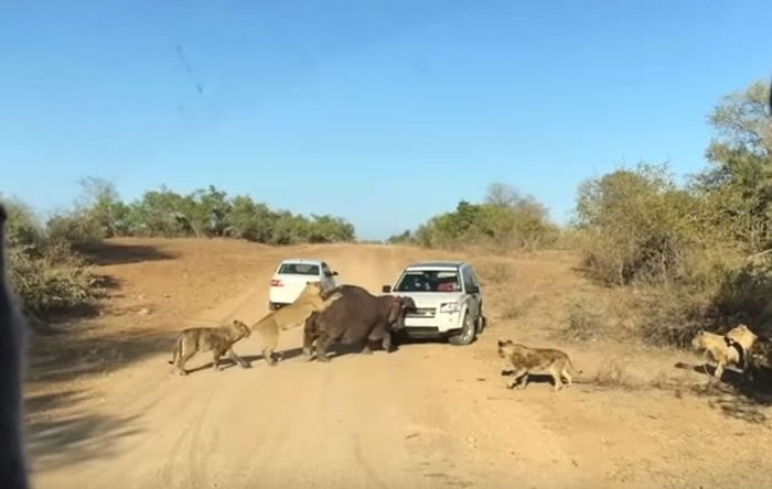 Ϸǿ³ҹ԰ʨҧ ʧҧ·