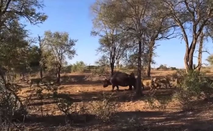 Ϸǿ³ҹ԰ʨҧ ʧҧ·