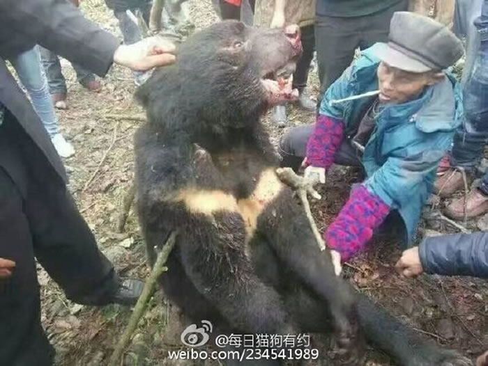 �Ĵ�ʡ����ɽС����������·�����ׯ�����񡰻���𿾡�