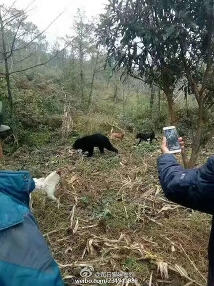 �Ĵ�ʡ����ɽС����������·�����ׯ�����񡰻���𿾡�