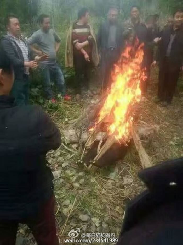 �Ĵ�ʡ����ɽС����������·�����ׯ�����񡰻���𿾡�