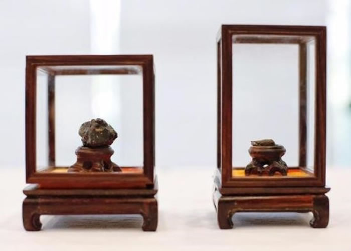 张勃捐赠的西北非月球陨石(左)和班玛县陨石(右)。