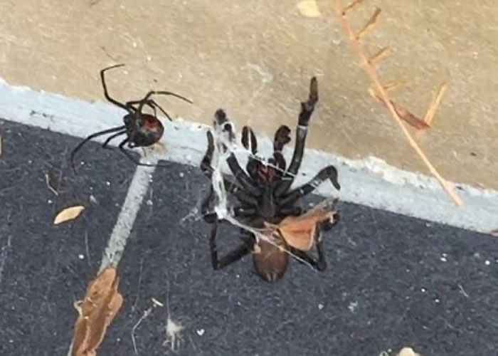 ڹѸ󣩷֩˿ƣƷ©֩루ң