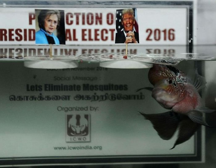 Ǽ����������ֻҪ���ҵ�ͷ�����ͻᵱѡ��