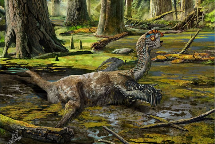 中国赣州南雄组晚白垩世第6个描述的新窃蛋龙科恐龙——泥泞通天龙