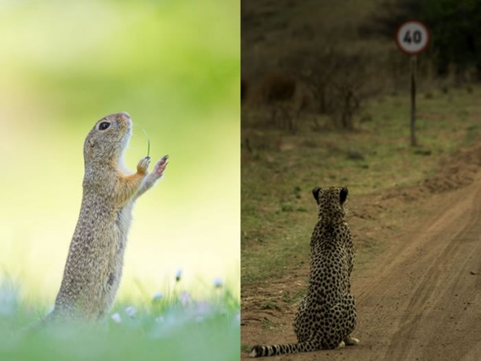 ������������Ȼ�����ҵ����¡����ң������������ޣ�������ǡ������㹽����