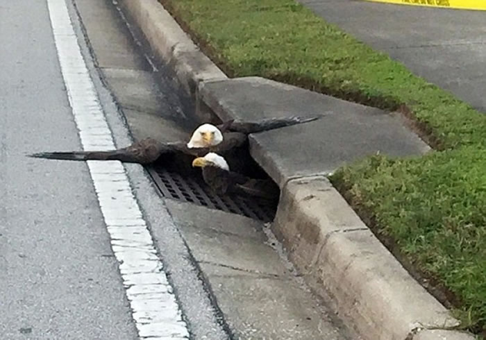 ��ͷӥһ�ȱ�����ˮ����