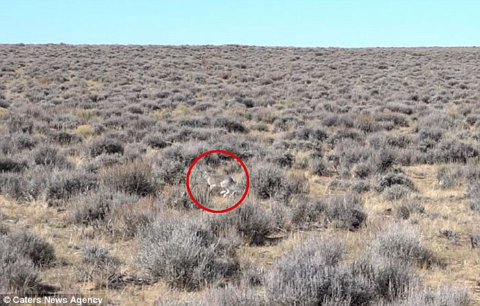 ԭһֻӿһԾ ɹӥħצӳ