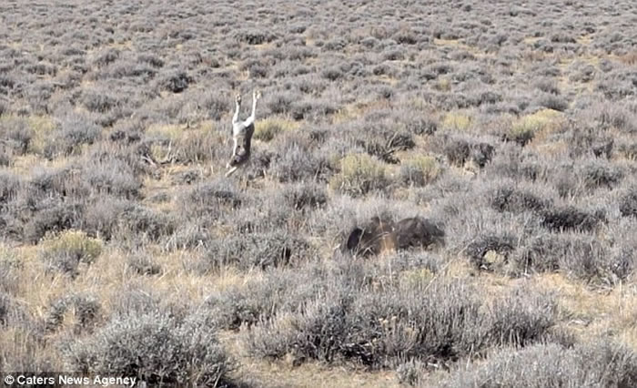 ԭһֻӿһԾ ɹӥħצӳ