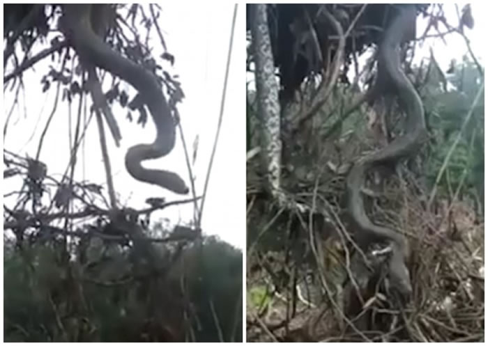 ������ͬ����һ�𱻳���