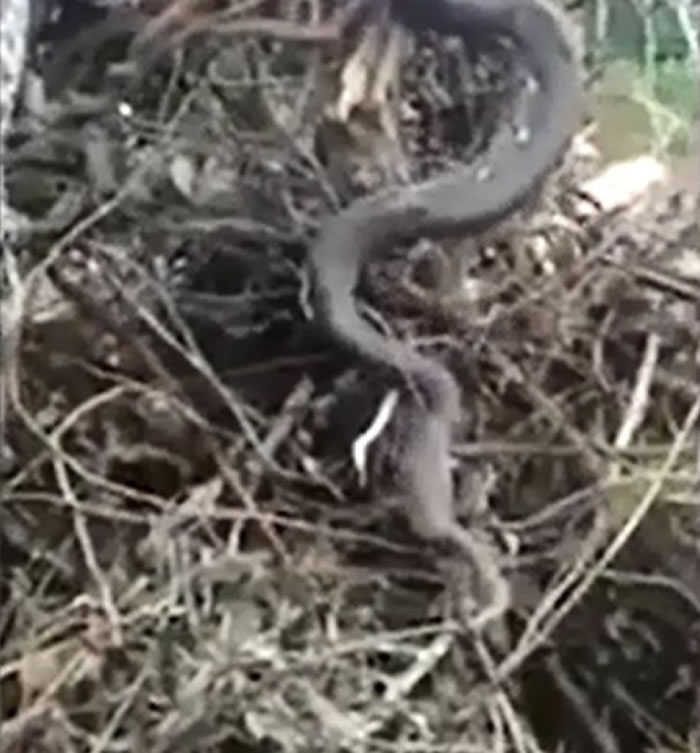 Խ���й����û���������ʱ�������ⷢ�֡�