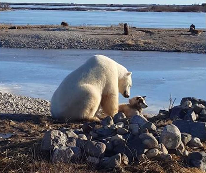 ���������ǰ�����������ʿ���ͷ