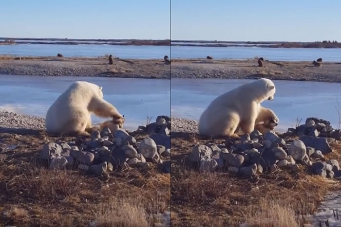 ���������ǰ�����������ʿ���ͷ