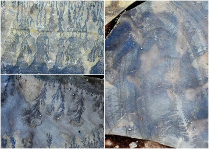 �������������������ǿ��ɽ��������Ȼ���һ���