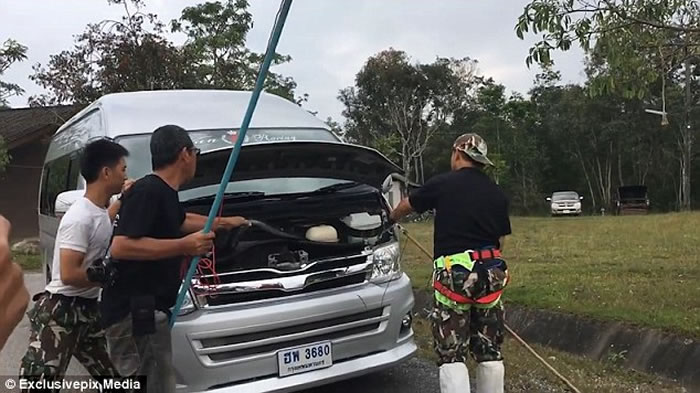 ̩ѧУʻ԰ 4׳۾복ͷ