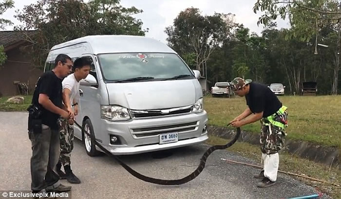 ̩ѧУʻ԰ 4׳۾복ͷ