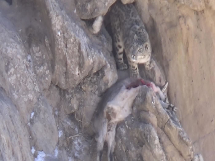 ����ʡ����ɽ���������㵽ѩ����ʳ�����������Ƶ