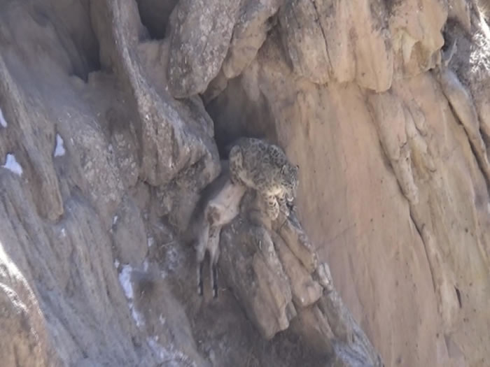 ����ʡ����ɽ���������㵽ѩ����ʳ�����������Ƶ