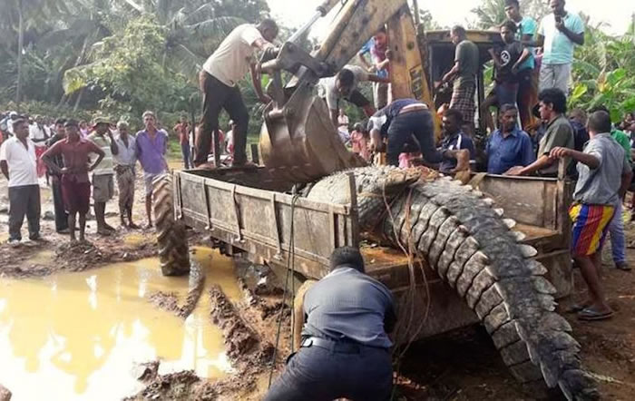 ˹������һ������5�׵ľ���������ˮ����