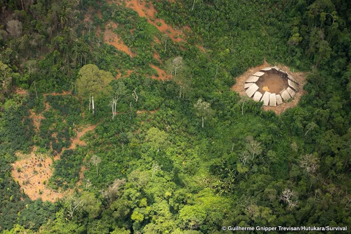 土著曾持长矛怒指飞机:亚马逊亚诺玛米部落(Yanomami)人口有增加的趋势