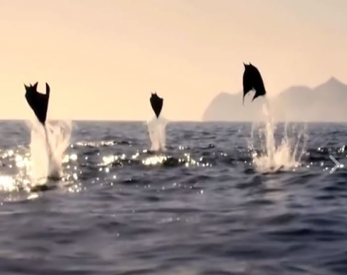 һȺ���ء�����������ȻԾ������ ԭ����ħ��􄡰������