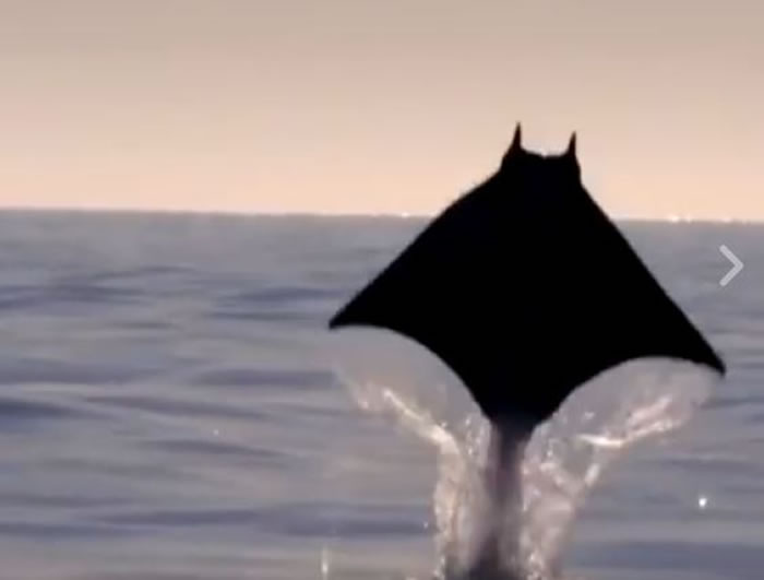 һȺ���ء�����������ȻԾ������ ԭ����ħ��􄡰������